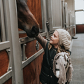 Cheval Roi Hobby Horse - Diva (2024 Model) thumbnail