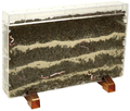See-Through Worm Farm/Planter thumbnail