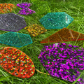 Rainbow Glitter Shapes, 21 pcs thumbnail