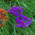 Rainbow Glitter Shapes, 21 pcs thumbnail