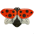 Red Ladybird Wings, size 4-7 years thumbnail