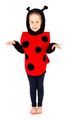 Ladybug Costume, Size 3-7 yrs thumbnail