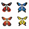 Wind-Up Butterfly Toy (asstd. colours), 1 pc thumbnail