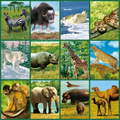 Torch Projector with Slides - Animals thumbnail