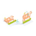 3D Lift-Up Stickers - Countryside thumbnail