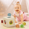 Kubo Shape Sorting Cube thumbnail