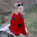 Ladybug Costume, 18-36 months thumbnail
