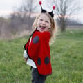 Ladybug Costume, 18-36 months thumbnail