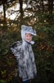 Spinosaurus Costume, 4-6 yrs thumbnail