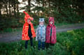 Spinosaurus Costume, 4-6 yrs thumbnail