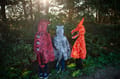 Spinosaurus Costume, 4-6 yrs thumbnail