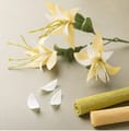 Crepe Paper - DIY Spring Bouquet thumbnail