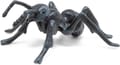 Ant, L: 5.1 cm thumbnail