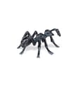 Ant, L: 5.1 cm thumbnail