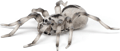 Tarantula, Ø11.5 cm thumbnail