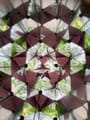 Nature Kaleidoscope thumbnail
