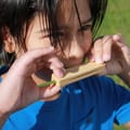 Make Your Own Grass Whistle thumbnail