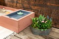 Sandbox - Space Saver, Rose thumbnail