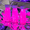 Sensory Bottle - Glow-in-the-Dark Pink thumbnail