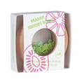 Sensory Donut Ø7 cm - Kiwis thumbnail