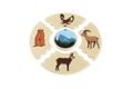 Layered Puzzle - Animal Habitats thumbnail