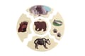 Layered Puzzle - Animal Species thumbnail