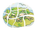 Layered Puzzle - Frog Life Cycle thumbnail