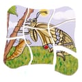Layered Puzzle - Butterfly Life Cycle thumbnail