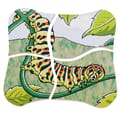 Layered Puzzle - Butterfly Life Cycle thumbnail
