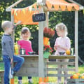 4-in-1 Outdoor Play and Activity Station thumbnail