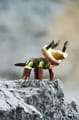 Connectors Construction - Dinosaurs, 53 pcs thumbnail