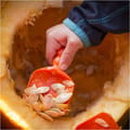 Pumpkin Carving Kit (2 Tools) thumbnail