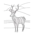 Magical Jewels: Amazing Animals thumbnail
