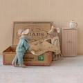 Maileg Mice in Cigar Box - Mama & Papa thumbnail