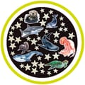 Glow in the Dark - Sea Creatures and Stars, 43 pcs thumbnail