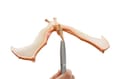 Balancing Pteranodon Toy thumbnail