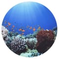Discovery Play Mat Ø62.5 cm - Under the Sea thumbnail