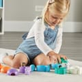 Sort & Seek Polar Animals Activity Set thumbnail