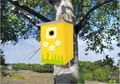 Build and Paint Your Own Bird House thumbnail