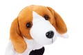 Hand Puppet - Basset Hound thumbnail