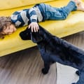 Lifelike Stuffed Animal - Black Lab thumbnail