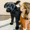 Lifelike Stuffed Animal - Black Lab thumbnail
