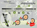 Swing Tree Hanging Strap - Horizontal, 600 cm thumbnail