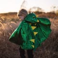 Dragon Cape - Green/Yellow, 2-3 yrs thumbnail