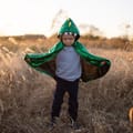 Dragon Cape - Green/Yellow, 2-3 yrs thumbnail
