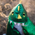 Dragon Cape - Green/Yellow, 2-3 yrs thumbnail