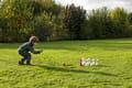 Garden Game - Bowling thumbnail
