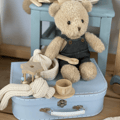 Morris the Teddy Bear incl. Suitcase and Clothes thumbnail