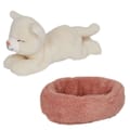 Penny the Cat thumbnail