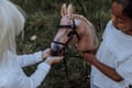 byASTRUP Hobby Horse - Palomino "Spirit" thumbnail